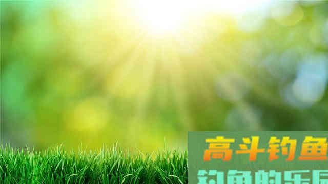 如何在仲春钓好大板鲫？掌握好这5点就够了