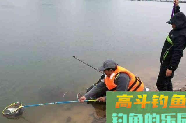 到了春天还钓不好鱼？稍微调整一番，接连中鱼
