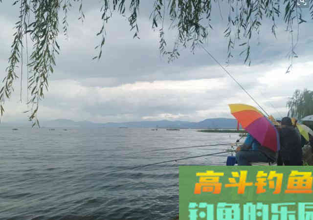 夏季野钓不变的规律，谨记这4条钓鱼口诀