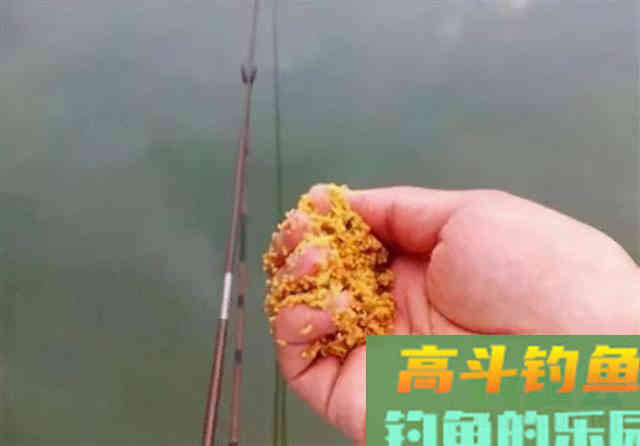 关于冬天野钓打窝，不发窝、没鱼口，多半是这两步没做到位