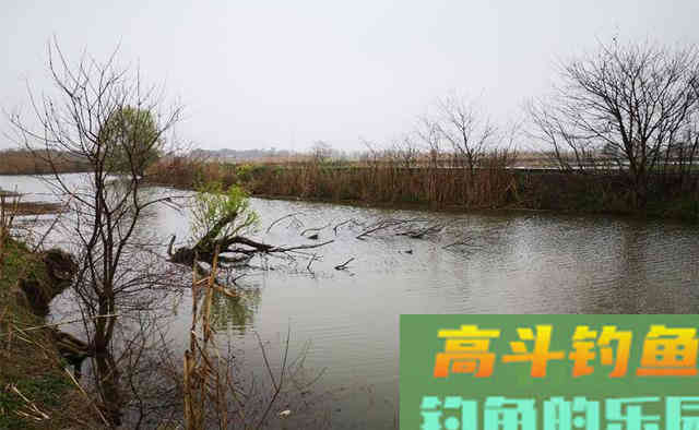 冬季钓鱼，找准鱼窝的3个步骤