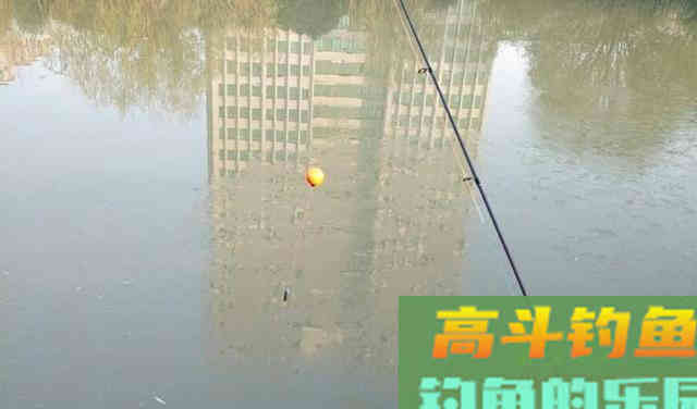 洛阳球球钓，冬季专钓深水大鲫鱼的钓法