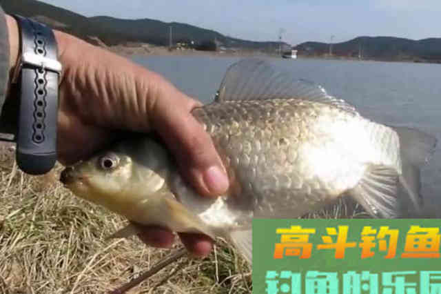 一到春天，我就只想用这套钓法