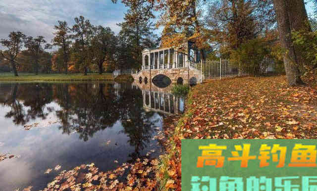 秋季如何垂钓近水