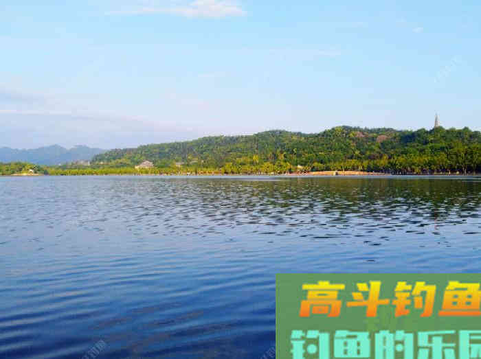 夏季钓鲫的7个概念，能让你在夏天更好的钓鱼，钓到大鱼