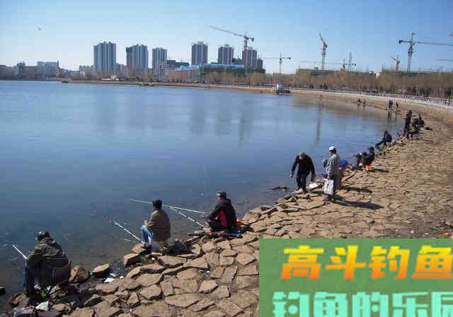 四季钓鱼有法则？傻，鱼不知道秋冬会降温