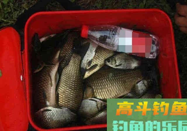 春钓要想有个好渔获，不要单从饵料入手，从这3方面