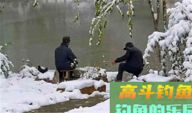 冬季打窝聚鱼慢，发窝迟，不妨试试这三招
