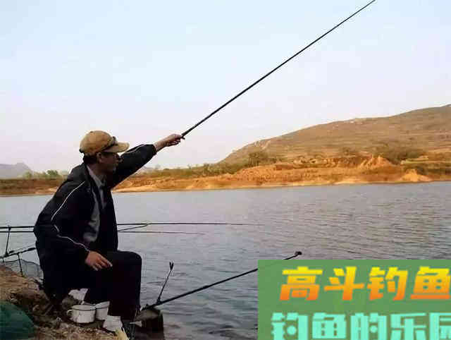 冬天钓鱼钓深还是钓浅呢