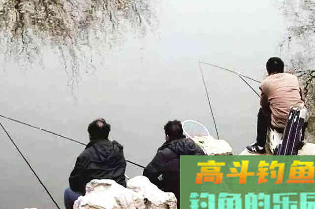 冬季钓鱼，除了深水区，这几个区域也藏鱼