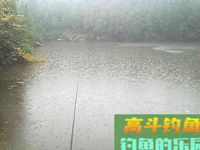 老钓友实操分享: 如何在初夏雨天钓好鱼