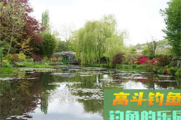 如何在仲春钓好大板鲫？掌握好这5点就够了