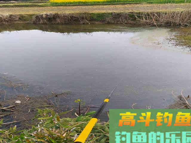 春季作钓的两大细节，让你上鱼更多