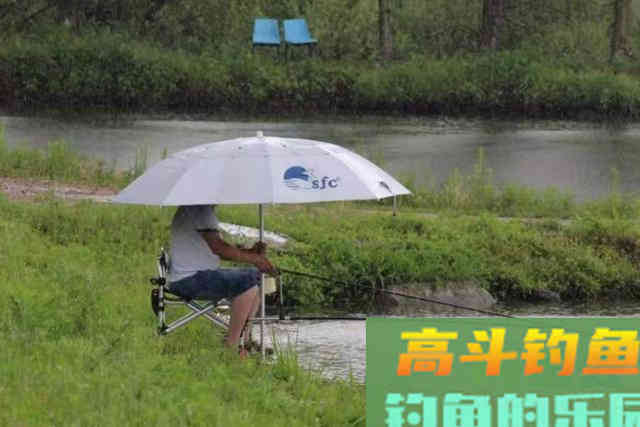 夏季雨天难钓鱼？没料到我只用了3招，鲫鲤鱼上个不停