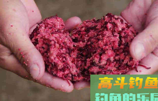 冬季，到荒废池塘垂钓，值得参考的经验