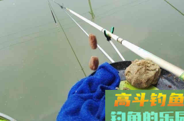 秋钓时，我每次都这样用饵
