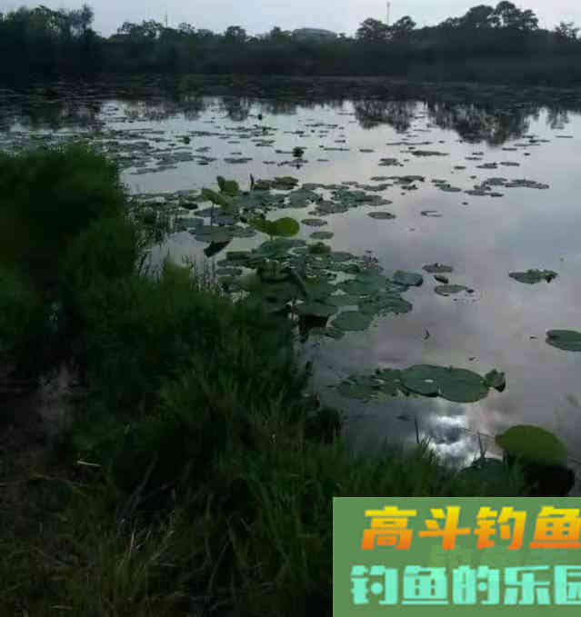 夏季钓鱼：好的收获，离不开这4个注意
