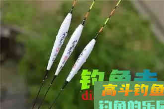 立春出钓想要有渔获，不仅看气温，还要看水深