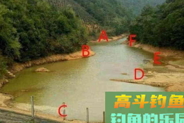 到了春天，鱼反而更不好钓？牢记以下三大招式