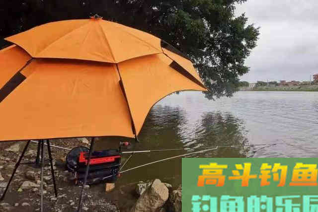 春钓时，这几个地方万万不可忽视，鲤鱼太多