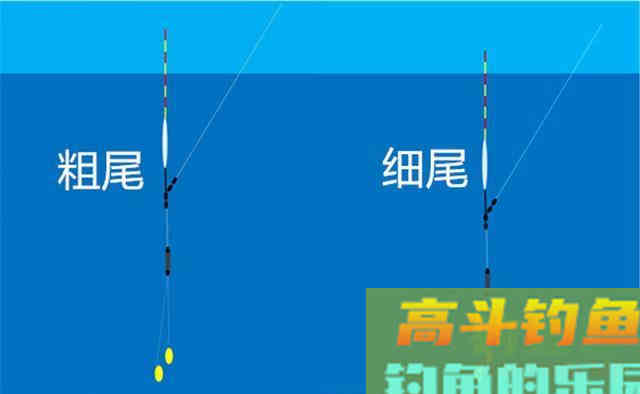 冬钓鲫鱼，浮漂满足这4个特点，漂相会放大数倍