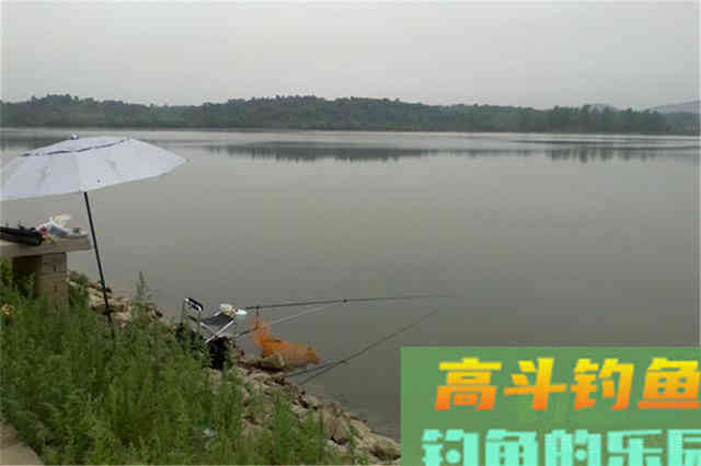 秋分过后钓大鱼，有这4宜4不宜
