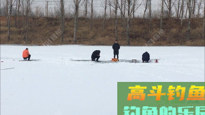 年假隔天钓，鱼获节节高--疫期冬钓总结超长篇