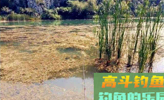 冬季钓鱼，气温越低越是要找这4种位置