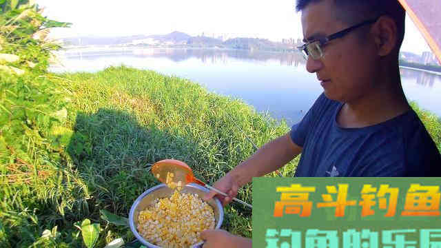 浅谈秋季野钓攻略，饵料不难找套路要用好