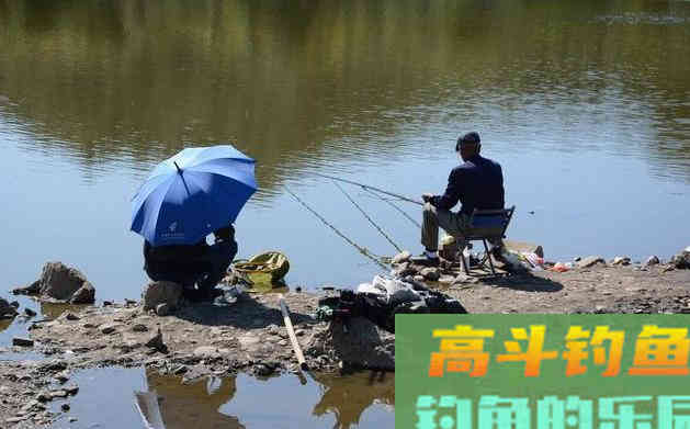 秋天钓鱼，什么时候钓浅，什么时候钓深