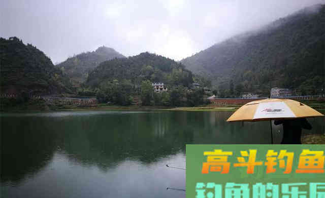 秋季钓鱼变数很多，技巧上要细分