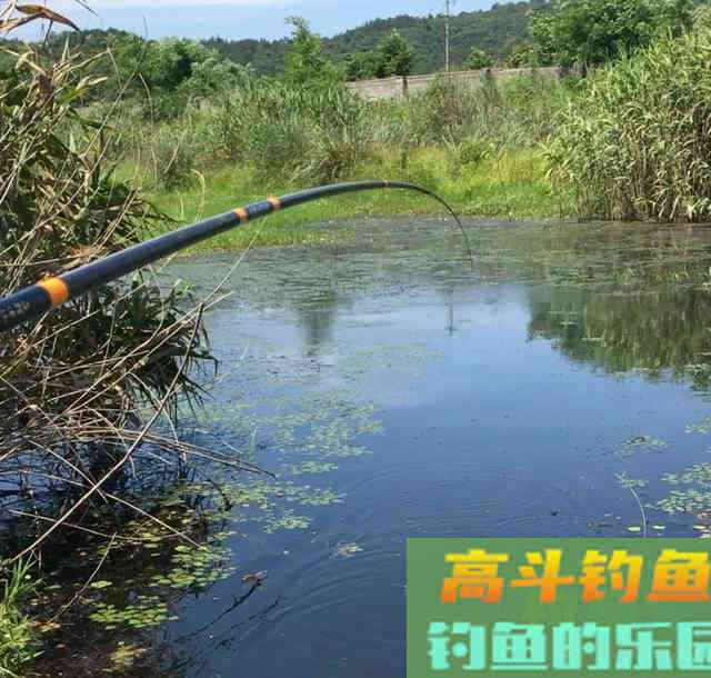 夏季野钓该用多长的鱼竿？早钓近、午钓远