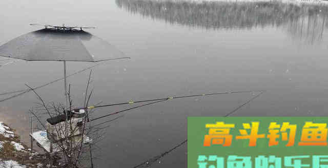 冬天野钓用传统钓还是台钓?比较后这种钓法完胜 冬天野钓用传统钓还是台钓?比较后这种钓法完胜