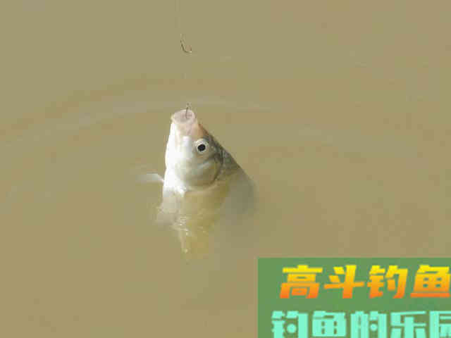 除了细小软，冬天还得找到四个大