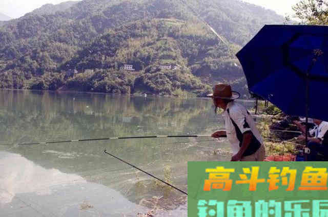 气温一低，鱼就不好钓？学会这3大招式