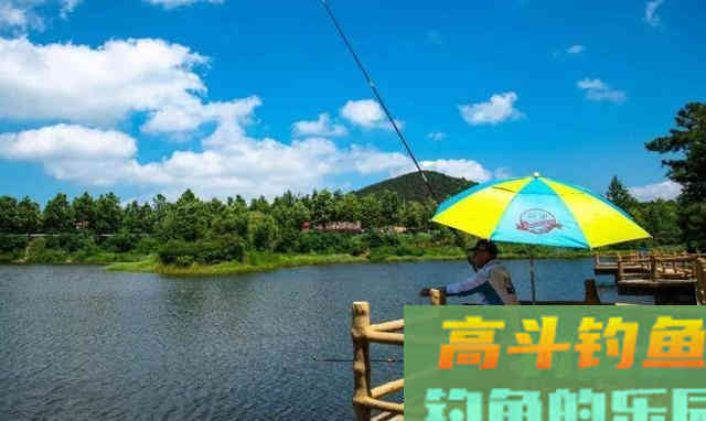 夏钓深，如何正确的垂钓深水窝