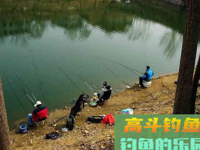 春天竿长选择有讲究，选错了没口选对了连竿