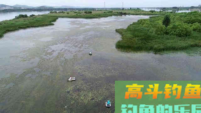 春季钓鱼水底水草多，试试这样钓，简单好用鱼获多，