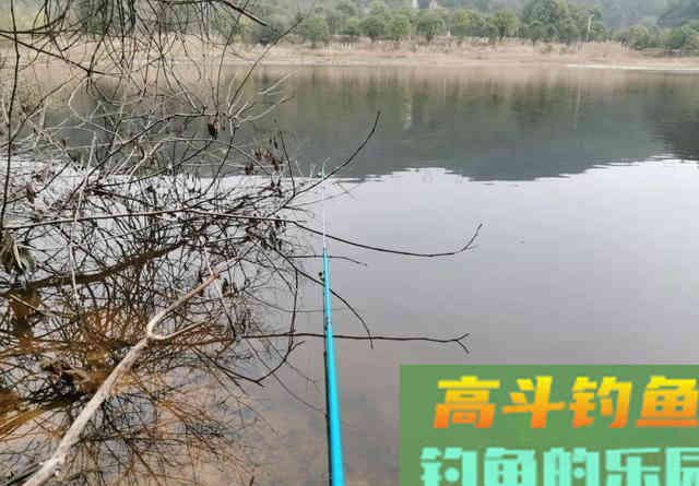 一到冬天就封竿？偷偷告诉你冬钓的3大优势