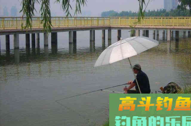 早就提醒过你，秋钓唯独这3大调整才最关键