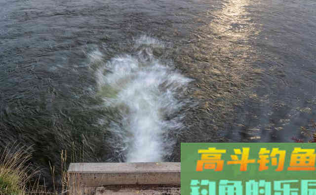 夏季天气太闷热，鱼不开口怎么办？试试这几招