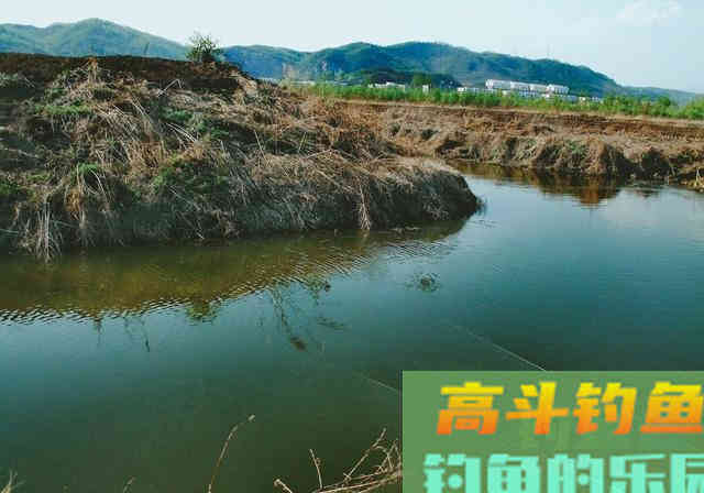 夏季同在一片水域，为什么你钓不到鱼