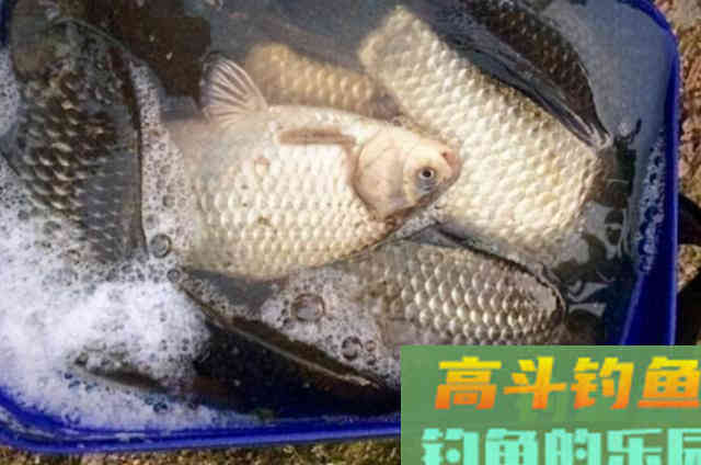 偷偷告诉你，冬钓若有这几个误区，休想一钓过瘾