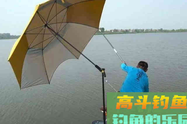 夏季垂钓，滩和渊的选择，时机很关键