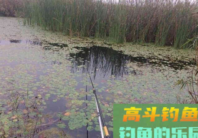中秋过后，野河中钓鱼，牢记这4条心得