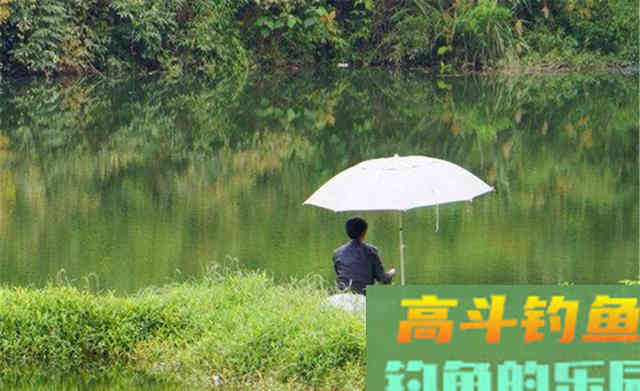 秋季分“三秋”，钓鱼要分阶段