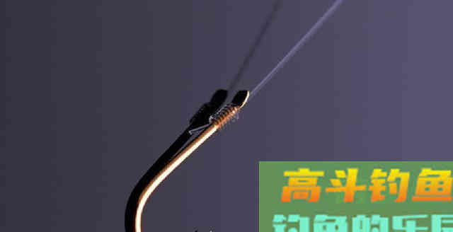 夏初能顺利钓上鱼的3大前提，这里偷偷告诉你