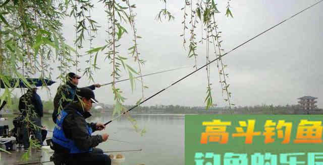 春天来了，选个什么样的天能让咱爆爆护？推荐下面3种