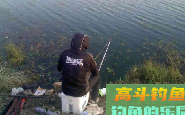 冬季出钓，要知道鲫鱼的吃饵特点，知道何时提竿