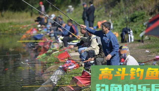 一种思路两种钓法，却是夏钓巨物的终极杀手锏
